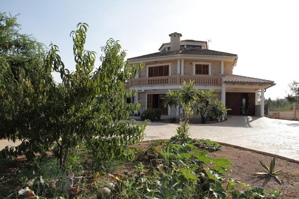 Villa President Cosmos Playa de Muro  Exterior foto